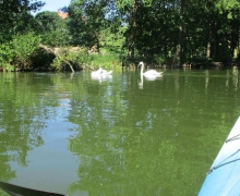 Swornegacie_szlak_Brdy