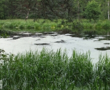 Rzeka_Chocina_3