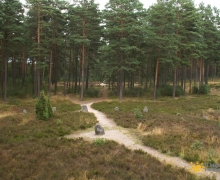 Kręgi kamienne Odry